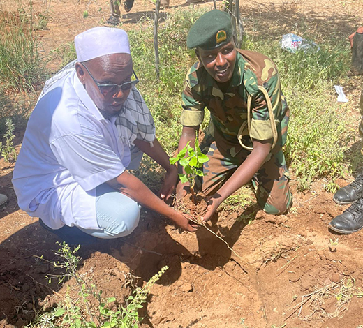 Planting an Indian Gooseberry fruit tree at the Regional Commissioner's Office in Garissa